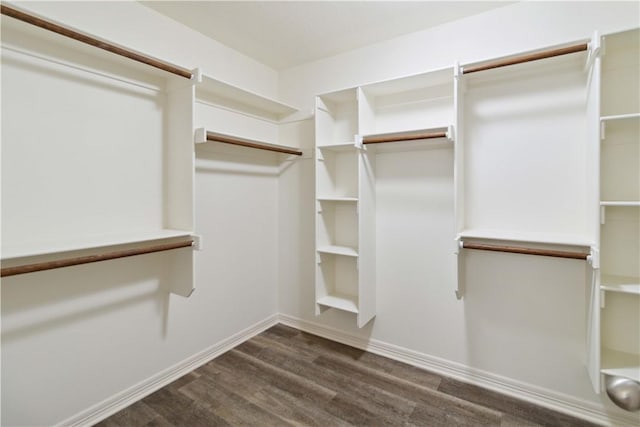 603 Highland Ct, Siloam Springs, AR 72761 - spacious closet featuring dark wood-type flooring