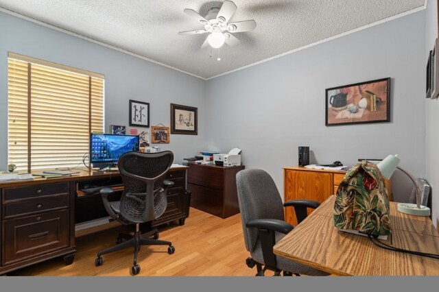 17934 Timberlake Trl, Rogers, AR 72756 - home office with ceiling fan, light wood-style flooring, ornamental molding, and a textured ceiling