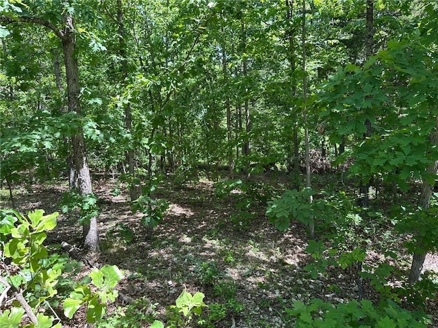 Bonnyrigg Ln, Bella Vista, AR 72715