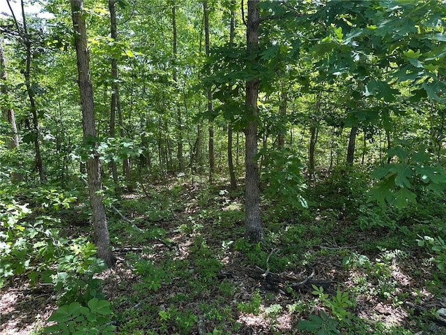 Bonnyrigg Ln, Bella Vista, AR 72715