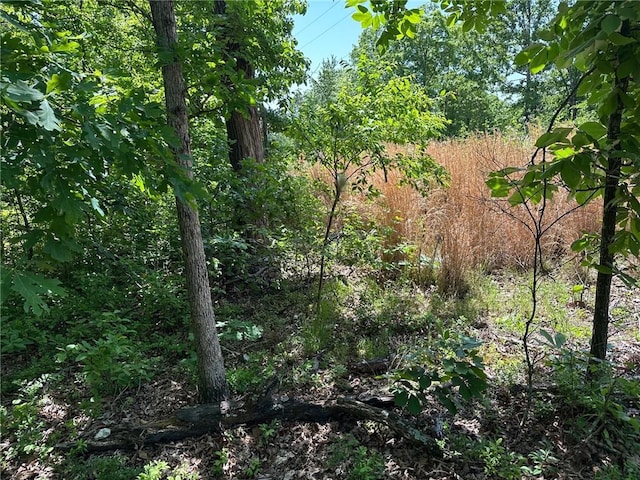 Bonnyrigg Ln, Bella Vista, AR 72715