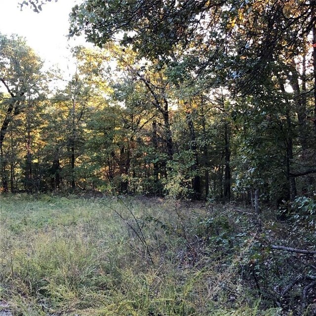 8 Petworth Ln, Bella Vista, AR 72714 - photo 6