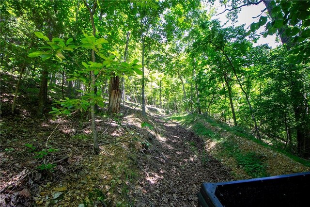 8.46ACRES Chestnut Dr, Rogers, AR 72756 - photo 18