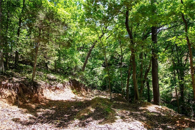 8.46ACRES Chestnut Dr, Rogers, AR 72756 - photo 19