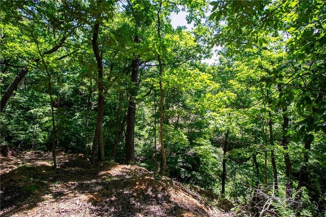 8.46ACRES Chestnut Dr, Rogers, AR 72756 - photo 20