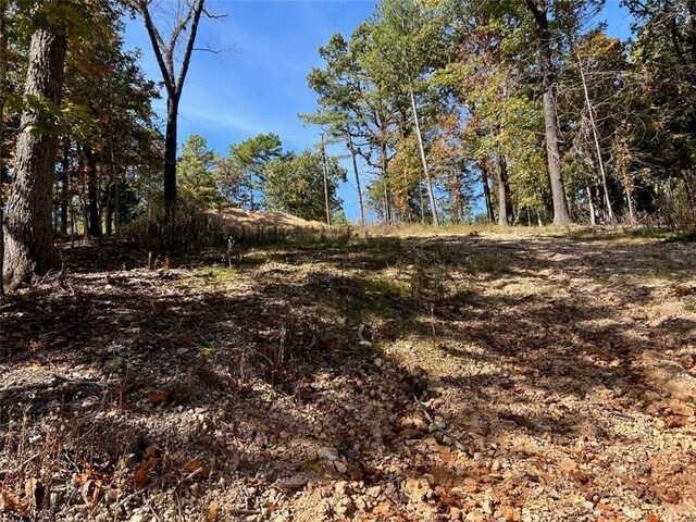 8.46ACRES Chestnut Dr, Rogers, AR 72756 - photo 22