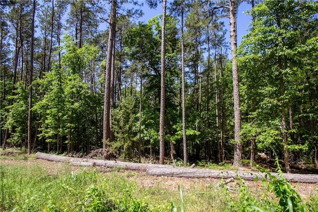 8.46ACRES Chestnut Dr, Rogers, AR 72756 - photo 23
