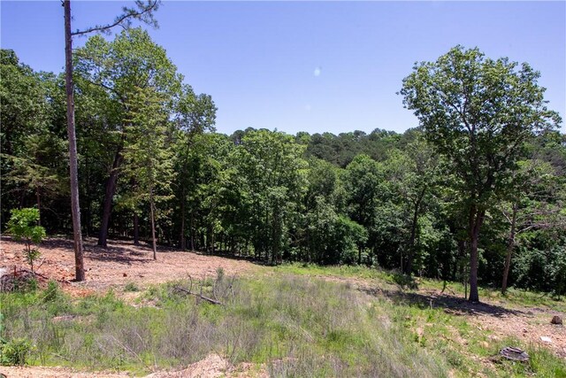 8.46ACRES Chestnut Dr, Rogers, AR 72756 - photo 25