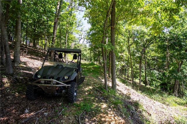 8.46ACRES Chestnut Dr, Rogers, AR 72756 - photo 3