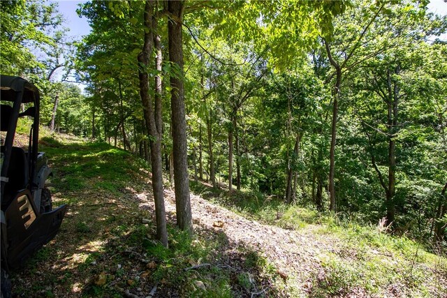 8.46ACRES Chestnut Dr, Rogers, AR 72756 - photo 4