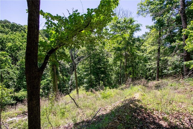 8.46ACRES Chestnut Dr, Rogers, AR 72756 - photo 5
