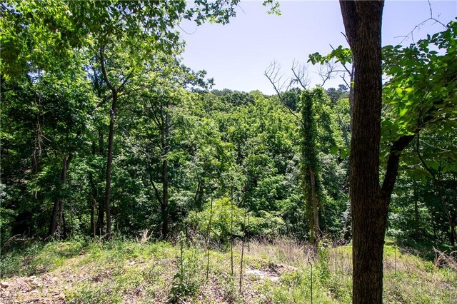8.46ACRES Chestnut Dr, Rogers, AR 72756 - photo 6