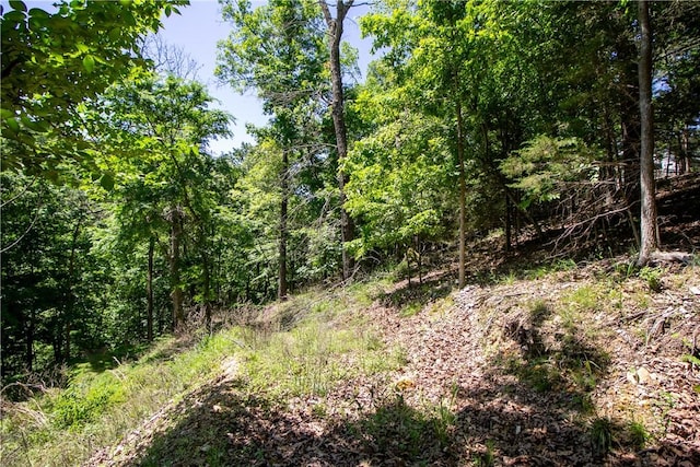 8.46ACRES Chestnut Dr, Rogers, AR 72756 - photo 7