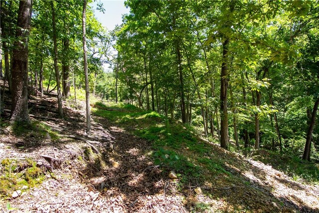 8.46ACRES Chestnut Dr, Rogers, AR 72756 - photo 8