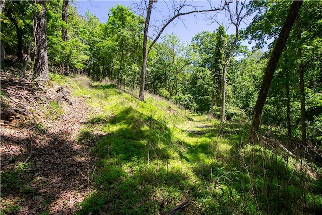 8.46ACRES Chestnut Dr, Rogers, AR 72756 - photo 9
