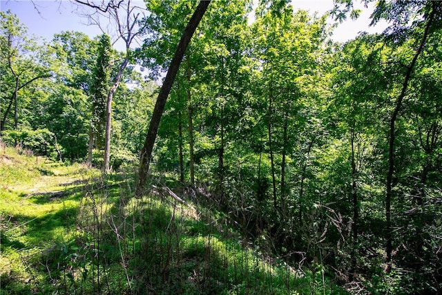8.46ACRES Chestnut Dr, Rogers, AR 72756 - photo 10