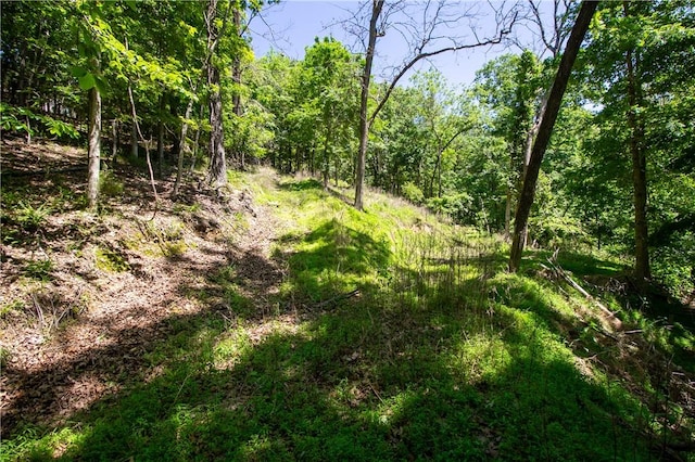8.46ACRES Chestnut Dr, Rogers, AR 72756 - photo 12