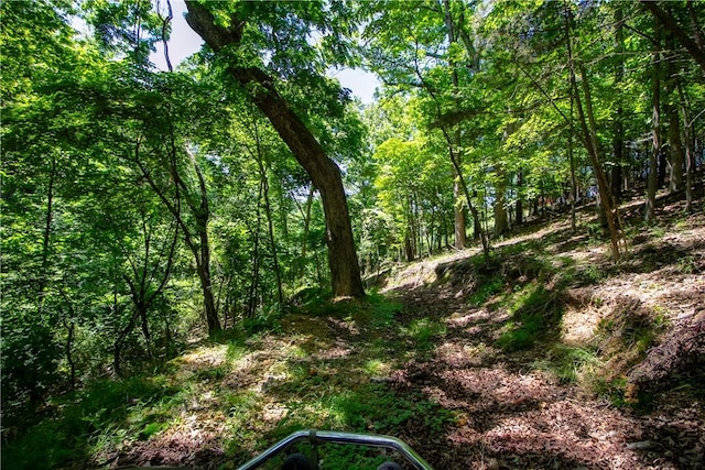 8.46ACRES Chestnut Dr, Rogers, AR 72756 - photo 13