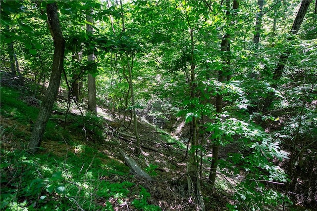 8.46ACRES Chestnut Dr, Rogers, AR 72756 - photo 14
