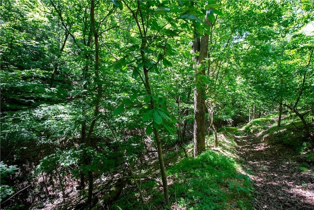 8.46ACRES Chestnut Dr, Rogers, AR 72756 - photo 15