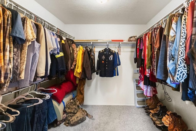 4007 W Song Bird Pl, Fayetteville, AR 72704 - spacious closet featuring carpet floors
