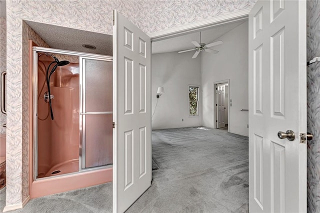 22 Marina Cir, Bella Vista, AR 72715 - full bathroom featuring vaulted ceiling, a shower stall, and ceiling fan