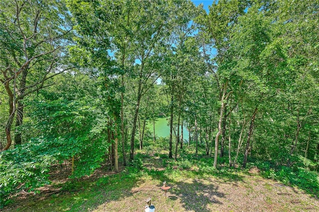 22 Marina Cir, Bella Vista, AR 72715 - view of yard
