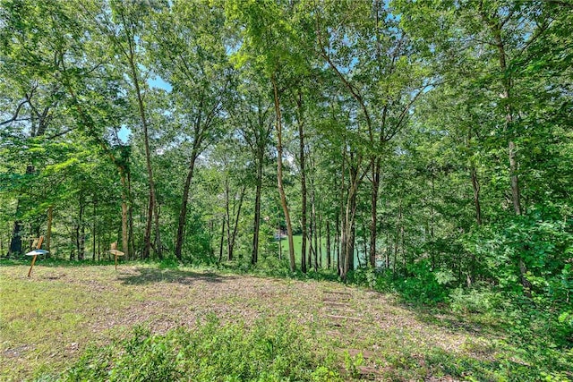 22 Marina Cir, Bella Vista, AR 72715 - view of local wilderness