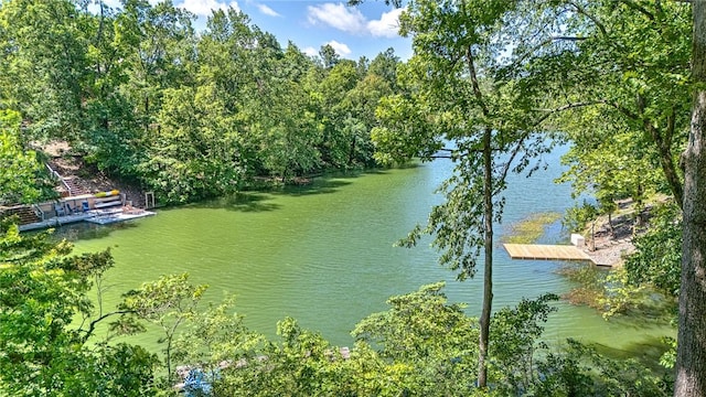22 Marina Cir, Bella Vista, AR 72715 - water view with a boat dock