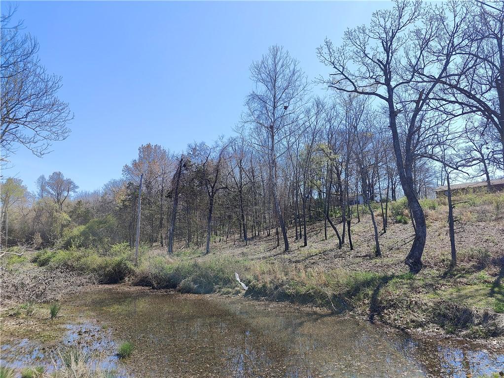 42 Ouachita Dr, Hackett, AR 72937