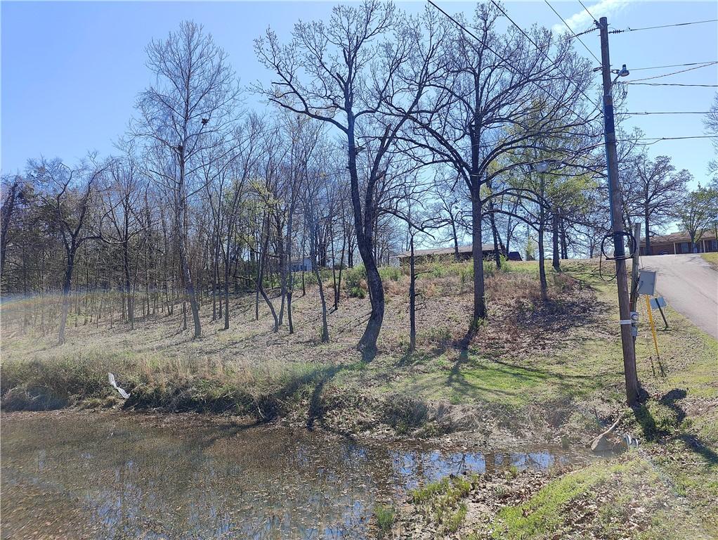 42 Ouachita Dr, Hackett, AR 72937