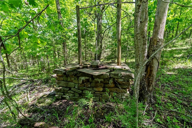 10836 Bray Rd, Elkins, AR 72727 - photo 44