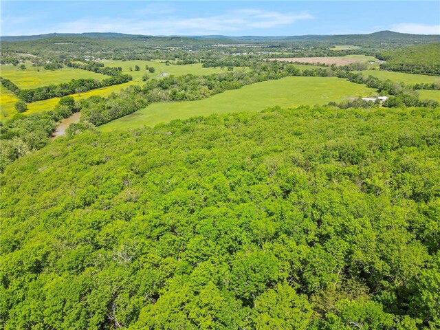 10836 Bray Rd, Elkins, AR 72727 - photo 56