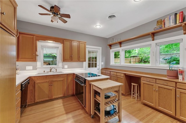 324 E Sutton St, Fayetteville, AR 72701 - kitchen featuring a sink, light wood-style floors, light countertops, a ceiling fan, and black dishwasher