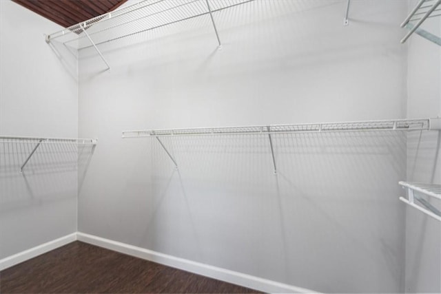 3139 Madison Unit 2405, Huntsville, AR 72740 - walk in closet with wood finished floors