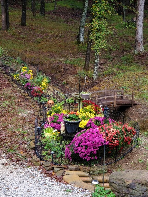 3139 Madison Unit 2405, Huntsville, AR 72740 - view of yard