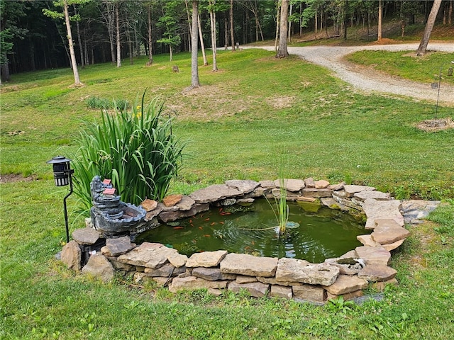 3139 Madison Unit 2405, Huntsville, AR 72740 - view of grassy yard