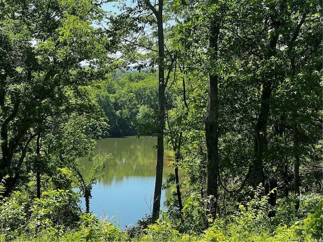 1343 River Point Rd, Fayetteville, AR 72703