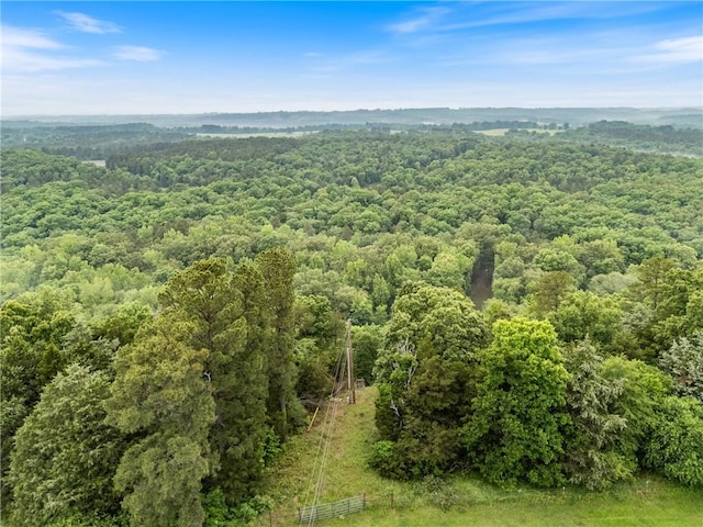 757 Shady Meadow Rd, Damascus, AR 72039 - photo 49