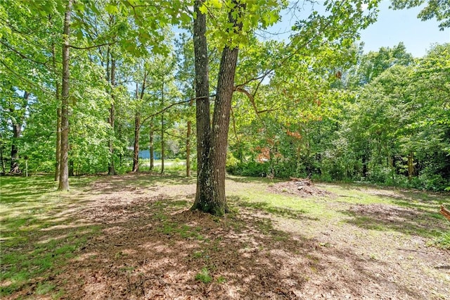 7 Ipswich Dr, Bella Vista, AR 72714 - view of yard featuring a wooded view