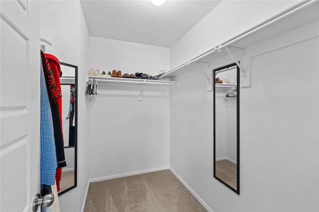 904 SW Loudon Dr, Bentonville, AR 72712 - walk in closet featuring carpet flooring