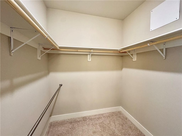 837 NE Heights Ln, Bentonville, AR 72712 - walk in closet featuring carpet floors
