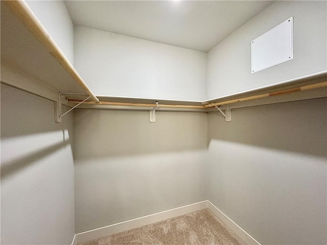 833 NE Heights Ln, Bentonville, AR 72712 - walk in closet with carpet flooring