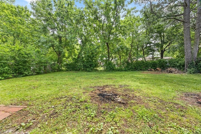 713 Young St, Springdale, AR 72764 - view of yard