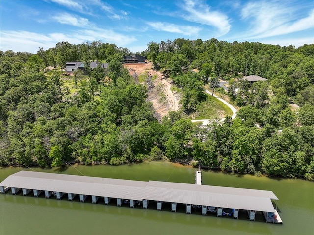 15903 Hawks Landing Dr, Rogers, AR 72756 - aerial view of a large body of water and a tree filled landscape