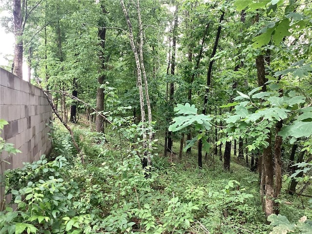 Gum Ln, Rogers, AR 72756 - photo 1