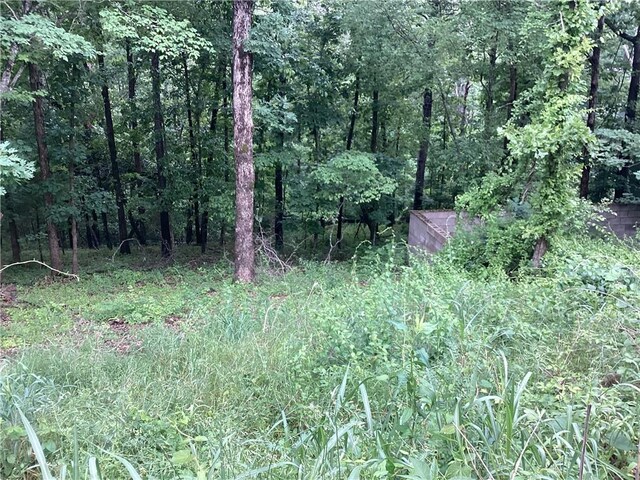 Gum Ln, Rogers, AR 72756 - photo 3