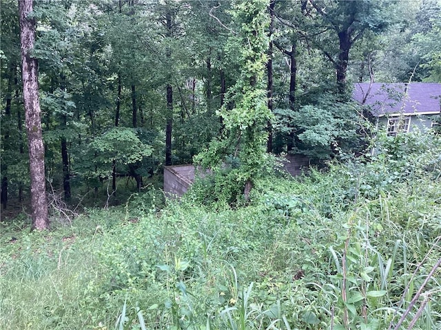 Gum Ln, Rogers, AR 72756 - photo 4