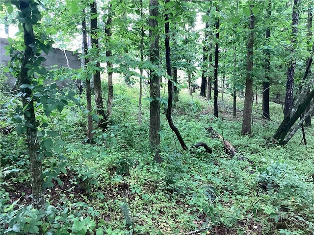 Gum Ln, Rogers, AR 72756 - photo 6