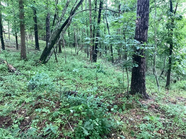 Gum Ln, Rogers, AR 72756 - photo 7